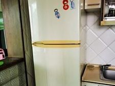 小天鹅冰箱不制冷了，如何解决（掌握关键维修技巧）
