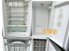 如何快速去除冰箱密封条霉点（简单有效的清洁方法让密封条焕然一新）