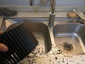 烧开水的热水器怎么清洗？清洗步骤和注意事项是什么？