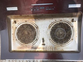 欧普油烟机滴水问题的原因和解决方法（深入探讨欧普油烟机滴水的原因以及有效处理方法）