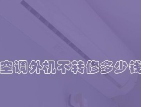 空调外机保护及修理指南（学会如何正确保护和修理空调外机）