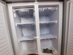 如何正确清洗冰箱——保持食品安全与延长使用寿命（清洗冰箱的小窍门）