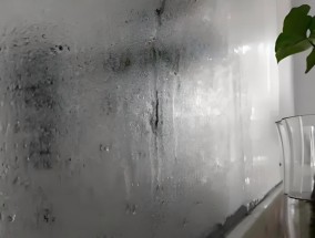 电视出现一半黑屏是什么原因？如何快速解决？