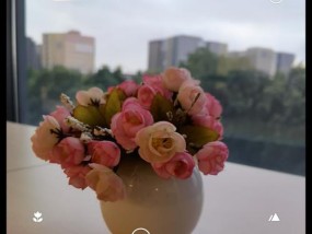 手机拍照模糊是什么原因？如何解决手机拍照模糊的问题？