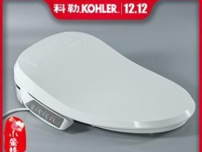 科勒智能马桶不喷水的原因及维修方法（马桶盖不喷水可能的原因和解决方案）
