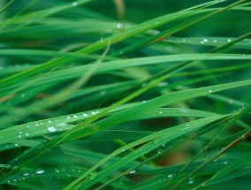 探索苹果13（定制你的苹果13）