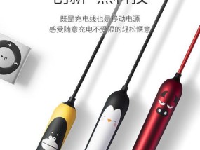 卡丁船充电器功率是多少瓦？