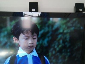 电视机出现半边黑屏是什么原因？如何快速解决？