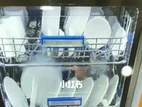 洗碗机不喷淋的故障解决方法（解决洗碗机喷淋不正常的故障）