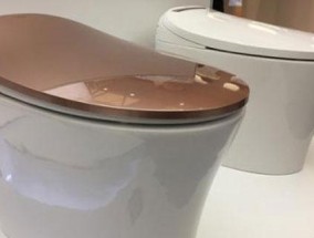 为什么以法恩莎马桶冲不干净（揭示导致以法恩莎马桶冲洗不干净的原因）