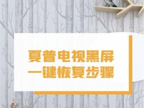 夏普电视机开机后黑屏是什么原因（解决电视黑屏问题的方法与技巧）