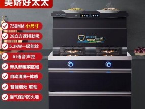 如何正确清洗油烟机消毒柜（保持厨房清洁）
