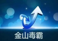 如何选择一款好用的电脑杀毒软件（不可忽视的电脑安全问题及解决方案）