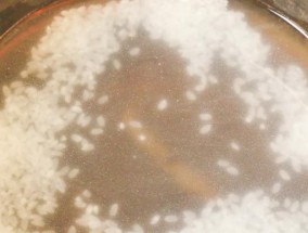 电饭煲忘记加米和水了怎么办？如何快速补救？