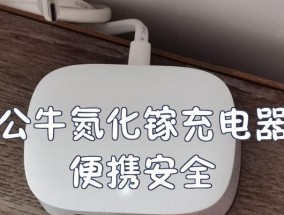 核电站为何禁止使用苹果充电器？安全原因是什么？