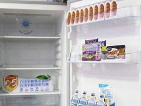 冰箱不通电的问题分析与处理（探究冰箱不通电的原因及解决方法）