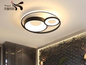 家用灯具品牌推荐——为您带来舒适照明体验（如何选择适合家庭使用的灯具品牌）