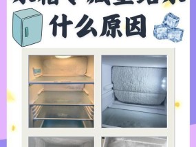冰箱漏电的原因及解决方法（保护家庭安全）
