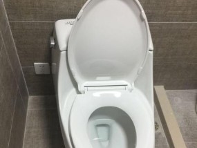 科勒马桶堵塞怎么办？疏通技巧有哪些？