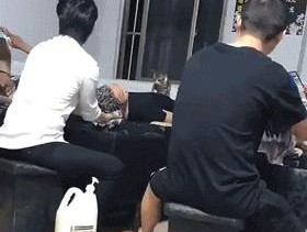 如何应对打印机沙雕问题（解决打印机沙雕困扰）