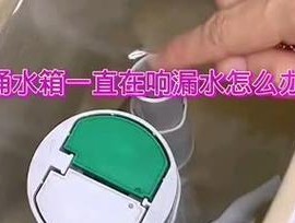 箭牌抽水马桶水箱漏水原因及处理方法（深入探究箭牌抽水马桶水箱漏水的原因）