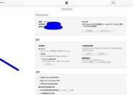 如何设置取消iPhone屏幕自动旋转的功能（禁用屏幕自动旋转）