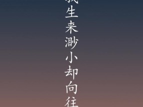 手机软件如何实现拍照带歌词？