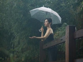 手机防雨可拍照吗怎么设置？如何在雨天保护手机拍照？