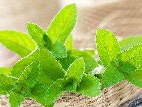 如何在听电脑声音时做饭？有什么好的解决方案？