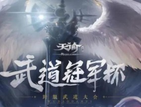 如何选择适合武道的服务器？