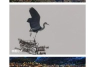 如何用手机拍摄热闹街景摄像头的画面？
