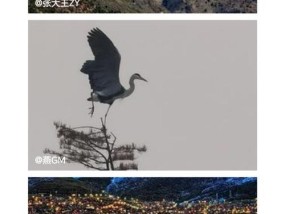 如何用手机拍摄热闹街景摄像头的画面？