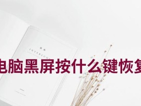 监控电脑屏幕黑屏恢复需要哪些步骤？