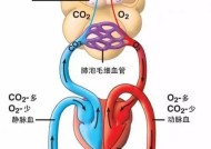 充电器增氧器的工作原理是什么？它如何提供氧气？