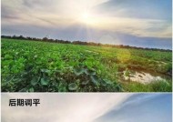 手机拍照倾斜如何调整？