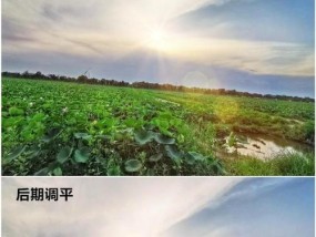 手机拍照倾斜如何调整？