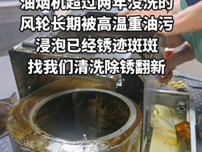 抽油烟机风轮的清洁与维护（拆洗步骤及注意事项）