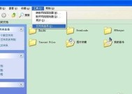 电脑隐藏文件夹的操作技巧（轻松掌握隐藏文件夹的显示方法）