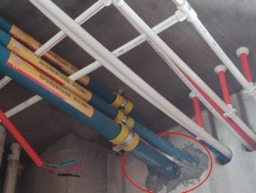 中央空调进老鼠了怎么办？如何有效处理和预防？