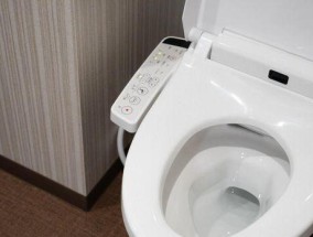 浪鲸马桶漏水原因分析（探究浪鲸马桶漏水的原因及解决方法）