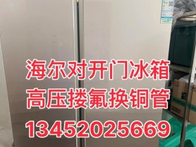 海尔冰箱是否需要加氟（了解海尔冰箱加氟的必要性及方法）