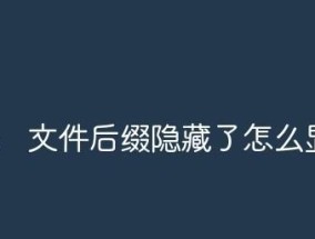 文件后缀显示的重要性及使用方法（提升文件管理效率的关键）