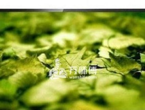 电视机闪屏的原因与解决方法（探究电视机闪屏的原因及可行的解决方法）