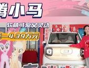 奔腾小马原装充电器无法充电的原因是什么？如何解决？