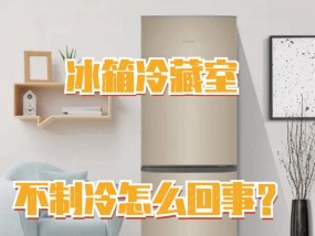 冰箱冷冻室不冷冻了的原因及解决方法（为什么冰箱冷冻室不再有效果）