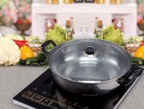 商用电磁炉插头烧了怎么办（应对商用电磁炉插头烧损情况的有效方法）