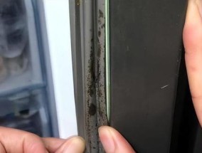 冰箱胶条发霉怎么清洗（解决冰箱胶条发霉问题的简易方法）