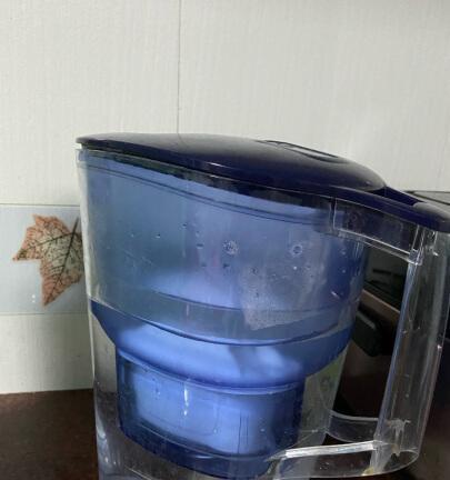 净水器滤芯水垢的处理方法（保持净水器滤芯清洁）  第1张