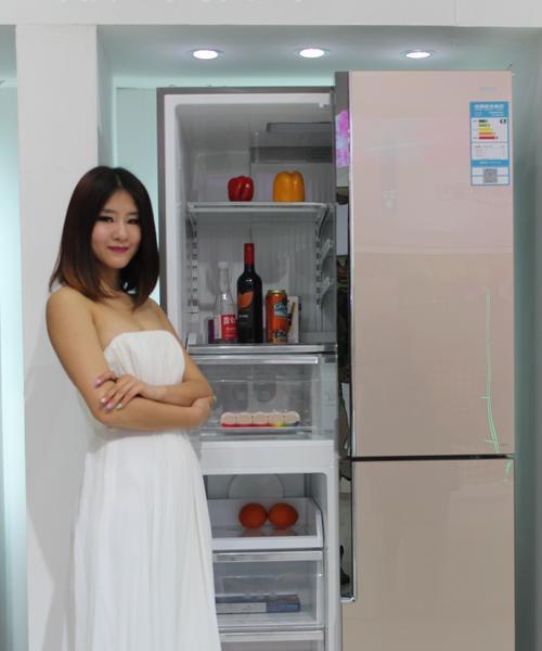 美菱冰箱EF故障分析（探究美菱冰箱EF型号常见故障及解决方法）  第1张