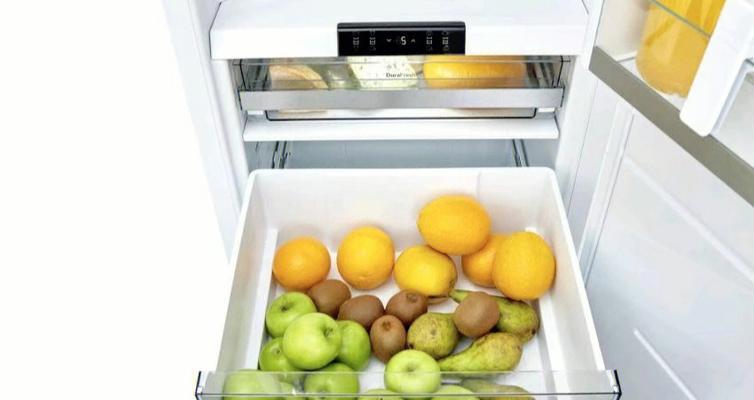 解决长时间外出家里冰箱食物保存问题的方法（如何有效保持家里冰箱食物新鲜安全）  第1张